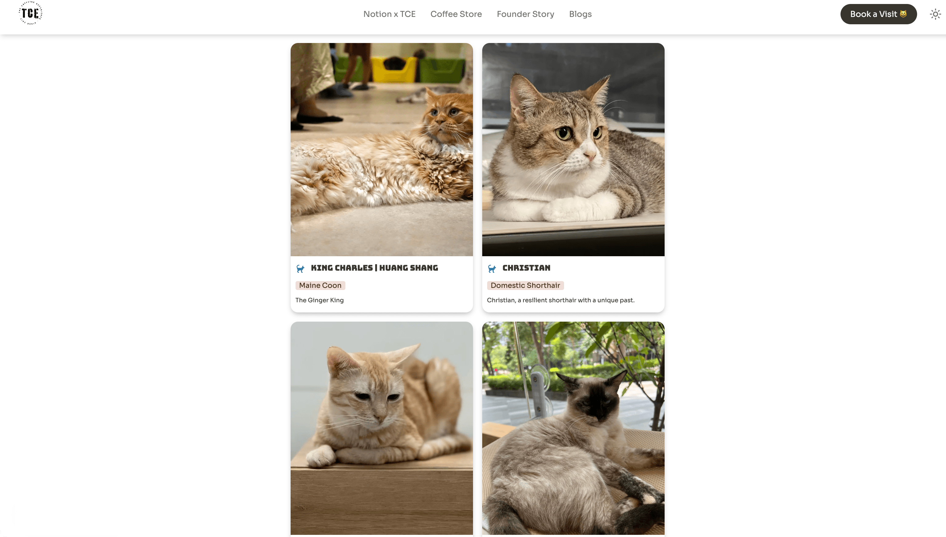 Head to this gallery view in Notion to meet the cafe's cats, like Eadward Altinstar, Gisele, and King Charles.