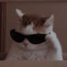 Profile picture of miniz