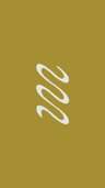 Profile picture of StudioStayc