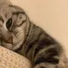 Profile picture of pawpaw